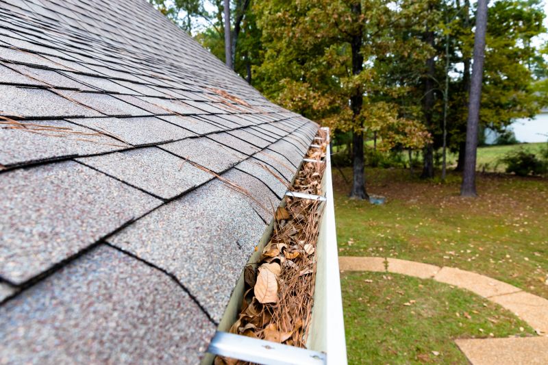 Gutter Pine Needle Removal in Baltimore, MD
