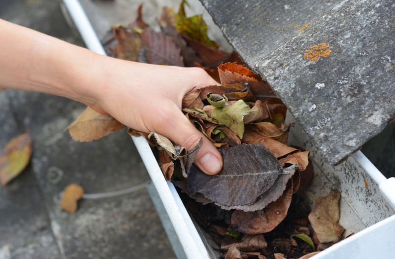 Church Gutter Cleaning in Denver County, CO