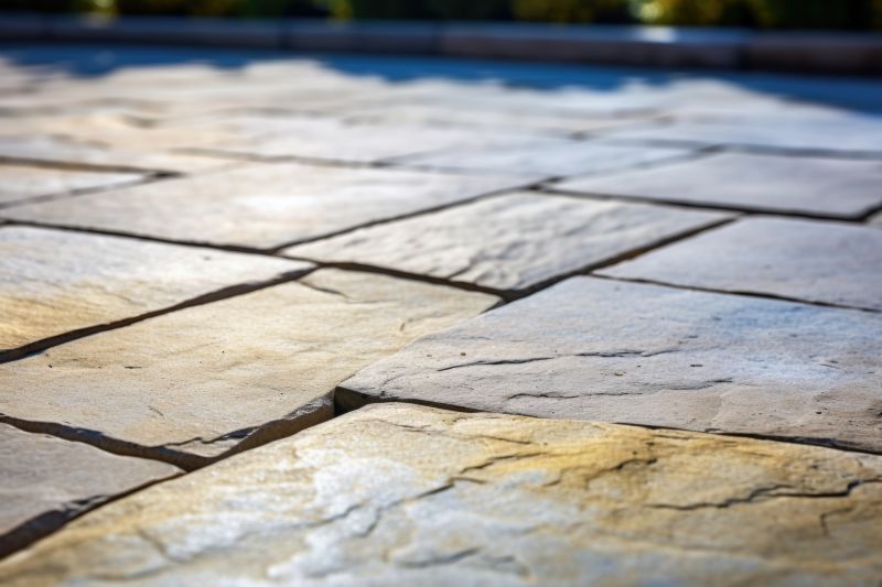 Paver Repair And Sealing detail