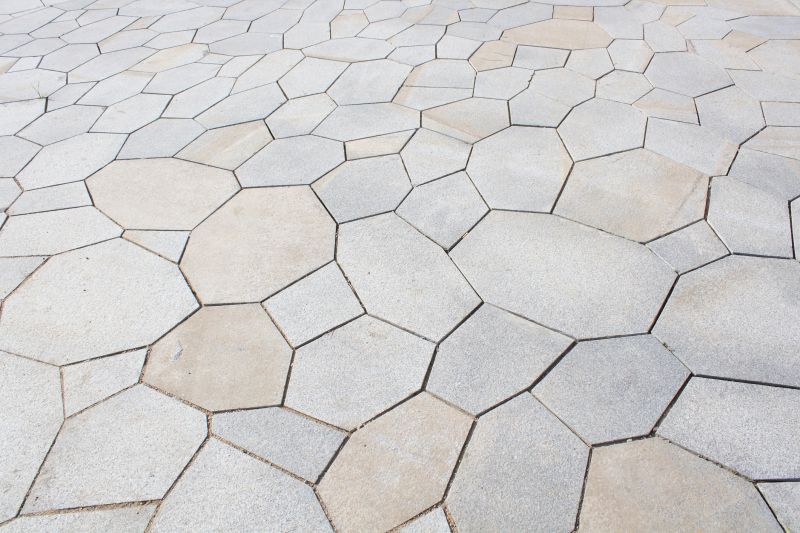 Paver Repair And Sealing detail