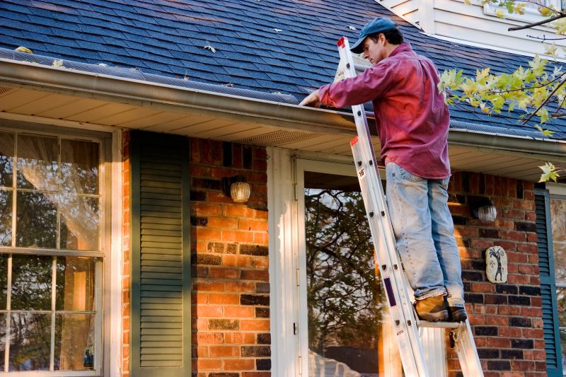 Garage Gutter Cleaning in Longmont, CO