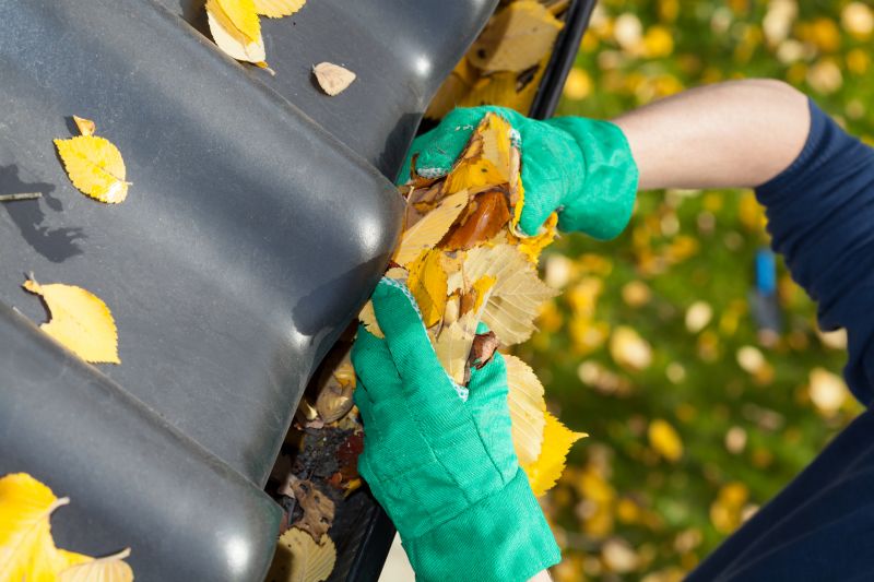 Gutter Maintenance in Arvada, CO